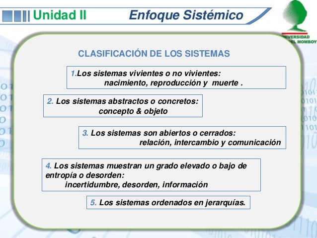 Enfoque sistemico unidad ii