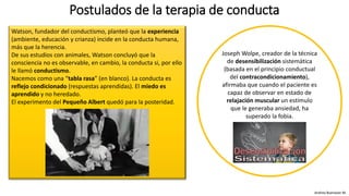 Watson, fundador del conductismo, planteó que la experiencia
(ambiente, educación y crianza) incide en la conducta humana,
más que la herencia.
De sus estudios con animales, Watson concluyó que la
consciencia no es observable, en cambio, la conducta si, por ello
le llamó conductismo.
Nacemos como una “tabla rasa” (en blanco). La conducta es
reflejo condicionado (respuestas aprendidas). El miedo es
aprendido y no heredado.
El experimento del Pequeño Albert quedó para la posteridad.
Postulados de la terapia de conducta
Andrea Buenaver M.
Joseph Wolpe, creador de la técnica
de desensibilización sistemática
(basada en el principio conductual
del contracondicionamiento),
afirmaba que cuando el paciente es
capaz de observar en estado de
relajación muscular un estímulo
que le generaba ansiedad, ha
superado la fobia.
 