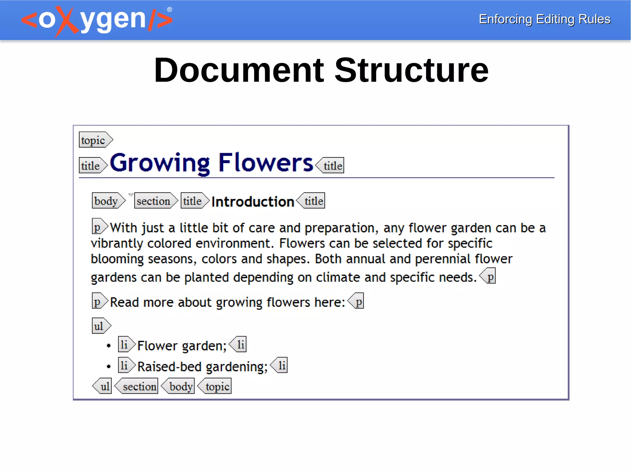 Enforcing Editing RulesEnforcing Editing Rules
Document Structure
 