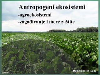 Antropogeni ekosistemi
-agroekosistemi
-zagađivanje i mere zaštite
Damnjanović Ivana
 