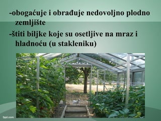 -obogaćuje i obrađuje nedovoljno plodno
zemljište
-štiti biljke koje su osetljive na mraz i
hladnoću (u stakleniku)
 
