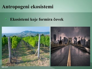 Antropogeni ekosistemi
Ekosistemi koje formira čovek
 