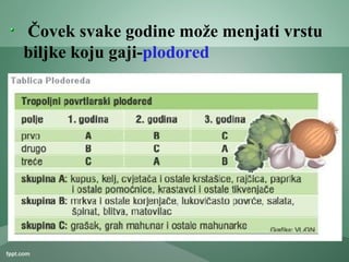 Čovek svake godine može menjati vrstu
biljke koju gaji-plodored
 