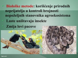 Biološke metode: korišćenje prirodnih
neprijatelja u kontroli brojnosti
nepoželjnih stanovnika agroekosistema
Laste uništavaju insekte
Zmija lovi pacove
 