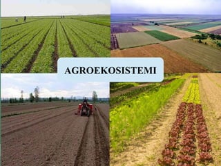AGROEKOSISTEMI
 