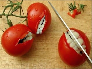 Antropogeni ekosistemi: agroekosistemi