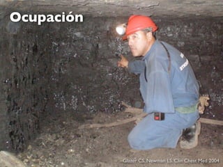 Ocupación




            –Glazer CS, Newman LS. Clin Chest Med 2004
 