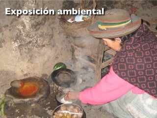 Exposición ambiental
 