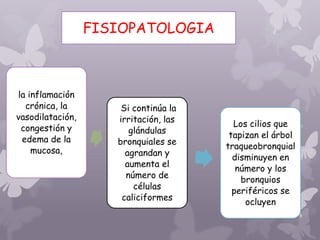 FISIOPATOLOGIA
la inflamación
crónica, la
vasodilatación,
congestión y
edema de la
mucosa,
Si continúa la
irritación, las
glándulas
bronquiales se
agrandan y
aumenta el
número de
células
caliciformes
Los cilios que
tapizan el árbol
traqueobronquial
disminuyen en
número y los
bronquios
periféricos se
ocluyen
 