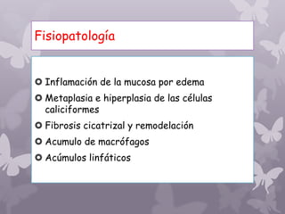  Inflamación de la mucosa por edema
 Metaplasia e hiperplasia de las células
caliciformes
 Fibrosis cicatrizal y remodelación
 Acumulo de macrófagos
 Acúmulos linfáticos
Fisiopatología
 