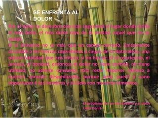 SE ENFRENTA AL DOLOR Por el dolor se descubre con más seguridad el lugar donde brilla el más bello, el más dulce rayo de la verdad, aquel que no se apaga. Si el Universo no es más que un campo cerrado, únicamente accesible a las fuerzas caprichosas y ciegas de la Naturaleza, una odiosa fatalidad que nos tritura; si no hay en él ni conciencia, ni justicia, ni bondad, entonces el dolor no tiene sentido, no tiene utilidad, no admite consuelo; sólo resta imponer silencio a nuestro corazón despedazado, porque sería pueril y vano importunar a los hombres y al Cielo con nuestros lamentos. El problema del ser del destino y el dolor León Denis 