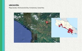 UBICACIÓN:
Playa Carate, Península de Osa, Puntarenas, Costa Rica
 