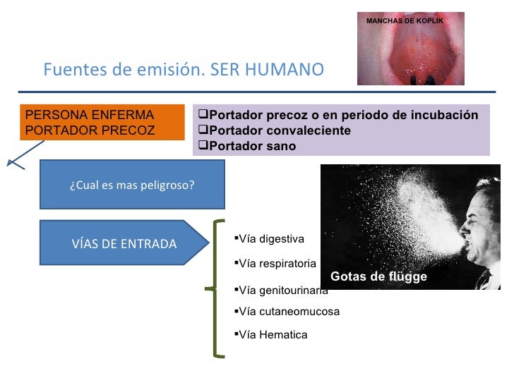 cadena epidemiologica heterologa enf transmisibles cadena epidemiologica heterologa enf transmisibles