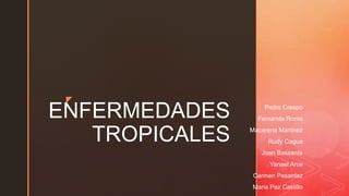 z
ENFERMEDADES
TROPICALES
Pedro Crespo
Fernanda Romo
Macarena Martinez
Rudy Cagua
Juan Bassante
Yanael Arce
Carmen Pesantez
Maria Paz Castillo
 