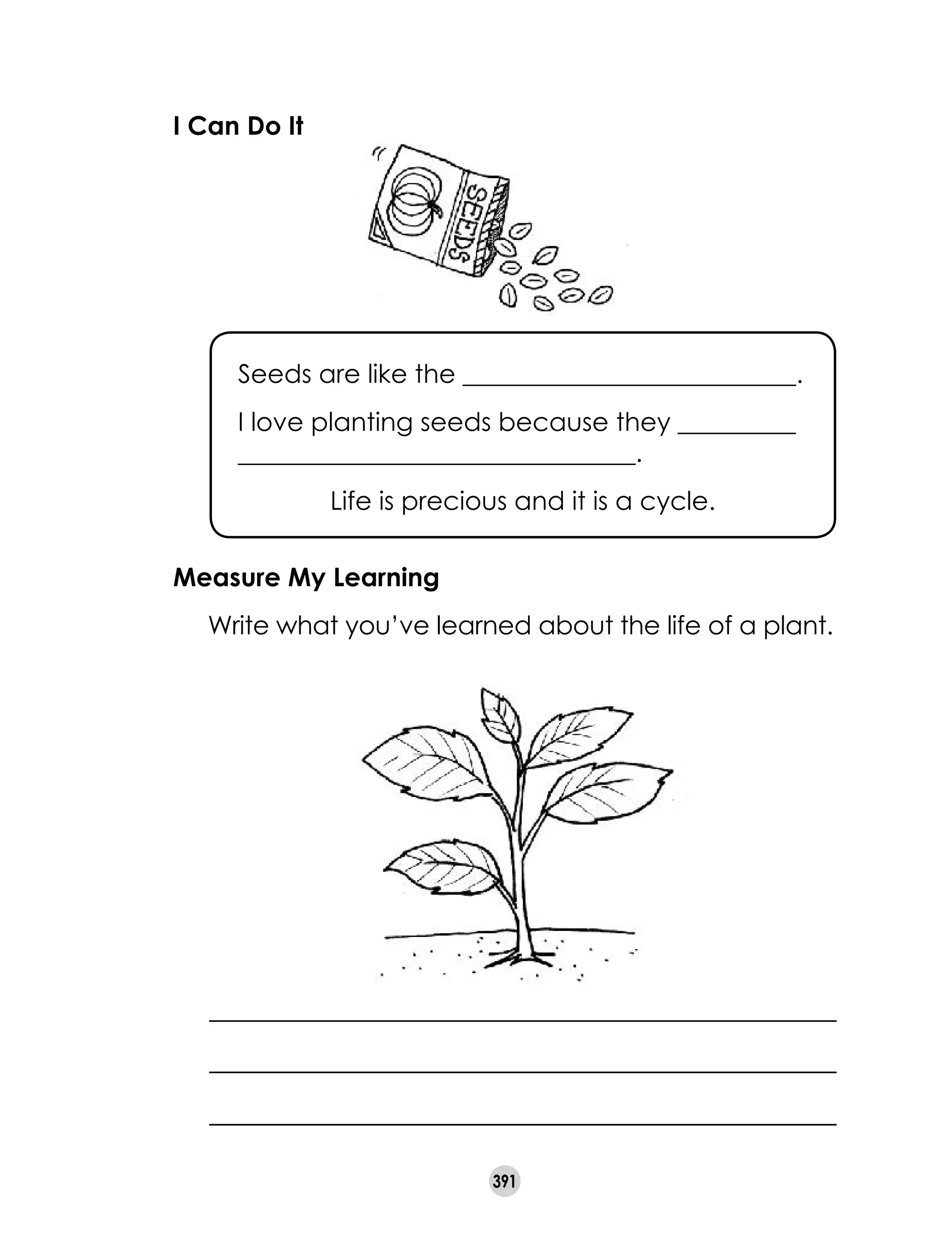 391
I Can Do It
Seeds are like the __________________________.
I love planting seeds because they __________
_______________________________.
Life is precious and it is a cycle.
Measure My Learning
	 Write what you’ve learned about the life of a plant.
 