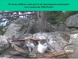 We invite children to take part in the International social project:
«Let’s protect the Wild World!»

 