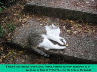 Father Cutie sprawls on the stairs, letting everyone see how handsome he is.
He is not so busy as Ryzhulya. He is the head of the family

 