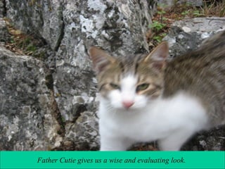 Father Cutie gives us a wise and evaluating look.

 