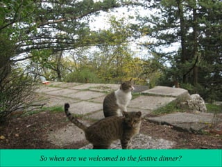 So when are we welcomed to the festive dinner?

 