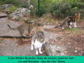 At last Mother Ryzhulya, being the hostess, leads her kids –
Leo and Krasulya – into the Cats’ House

 