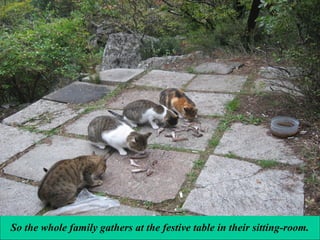 So the whole family gathers at the festive table in their sitting-room.

 