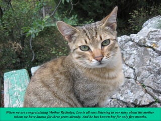 When we are congratulating Mother Ryzhulya, Leo is all ears listening to our story about his mother
whom we have known for three years already. And he has known her for only five months.

 