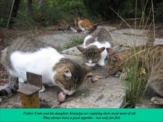 Father Cutie and his daughter Krasulya are enjoying their meal most of all.
They always have a good appetite – not only for fish

 