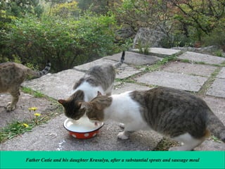 Father Cutie and his daughter Krasulya, after a substantial sprats and sausage meal

 