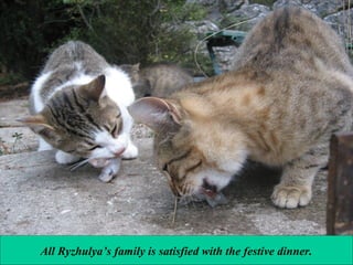 All Ryzhulya’s family is satisfied with the festive dinner.

 