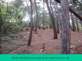 Mother Ryzhulya has made up her mind to see us off.

 
