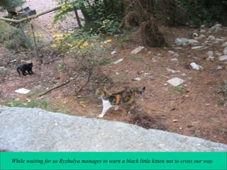 While waiting for us Ryzhulya manages to warn a black little kitten not to cross our way.

 