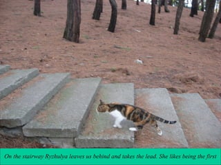 On the stairway Ryzhulya leaves us behind and takes the lead. She likes being the first

 