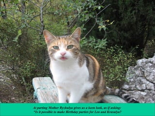 At parting Mother Ryzhulya gives us a keen look, as if asking:
“Is it possible to make Birthday parties for Leo and Krasulya?

 