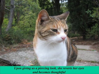 Upon giving us a piercing look, she reverts her eyes
and becomes thoughtful

 