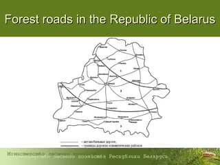 Forest roads in the Republic of BelarusForest roads in the Republic of Belarus
 