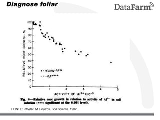 FONTE: PAVAN, M e outros. Soil Sciente. 1982,
Efeitos do alumínio
Efeitos negativos
- Redução do crescimento radicular
- R...