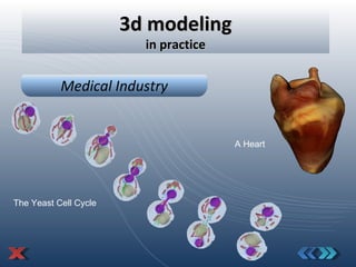 3d modeling in practice T he Y east C ell C ycle A Heart M edical I ndustry