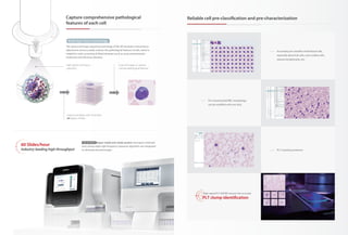 Capture comprehensive pathological
features of each cell
The advanced image capturing technology of MC-80 simulates manual focus
adjustment and accurately restores the pathological features of cells, which is
helpful for early screening of blood diseases (such as acute promyelocytic
leukemia) and infectious diseases.
High-speed continuous
capturing
Capture all details with more than
20 depths of field
Fuses all images to capture
concise pathological features
Multi-layer fusion technology
Reliable cell pre-classification and pre-characterization
Accurately pre-classifies white blood cells,
especially abnormal cells, such as blast cells,
reactive lymphocytes, etc.
Pre-characterized RBC morphology
can be modified with one click.
PLT counting assistance
High-speed FLY-MODE ensures the accurate
PLT clump identification
SOLID ROCK Hyper-stable anti-shake system: Aerospace materials
and cutting-edge high-frequency exposure algorithm are integrated
to eliminate blurred images.
SOLID ROCK
60 ݺߣs/hour
Industry-leading high throughput
 