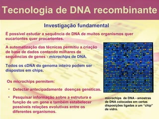 Tecnologia de DNA recombinante Investigaç ão fundamental A automatização das técnicas permitiu a criação de base de dados ...