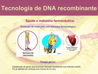 Tecnologia de DNA recombinante Saúde e indústria farmacêutica. Produç ão de moléculas com Interesse farmacológico. Terapia...