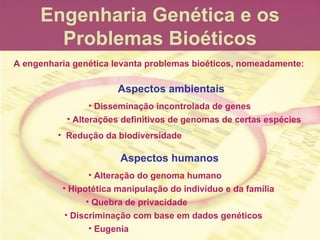 Engenharia Gen ética e os Problemas Bioéticos <ul><li>Redução da biodiversidade   </li></ul>A engenharia genética levanta ...