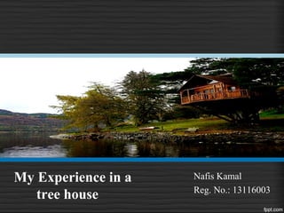 My Experience in a
tree house
Nafis Kamal
Reg. No.: 13116003
 