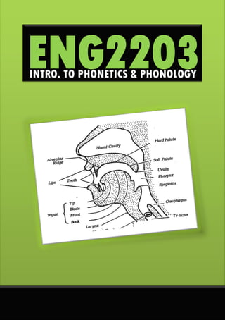 ENG2203 - Introduction Phonetics & Phonology
i
ENG2203
INTRO. TO PHONETICS & PHONOLOGY
 