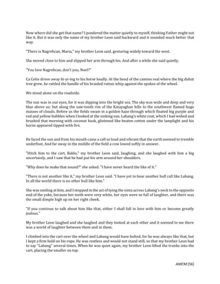 AMCM [56]
Now where did she get that name? I pondered the matter quietly to myself, thinking Father might not
like it. But it was only the name of my brother Leon said backward and it sounded much better that
way.
"There is Nagrebcan, Maria," my brother Leon said, gesturing widely toward the west.
She moved close to him and slipped her arm through his. And after a while she said quietly.
"You love Nagrebcan, don't you, Noel?"
Ca Celin drove away hi-yi-ing to his horse loudly. At the bend of the camino real where the big duhat
tree grew, he rattled the handle of his braided rattan whip against the spokes of the wheel.
We stood alone on the roadside.
The sun was in our eyes, for it was dipping into the bright sea. The sky was wide and deep and very
blue above us: but along the saw-tooth rim of the Katayaghan hills to the southwest flamed huge
masses of clouds. Before us the fields swam in a golden haze through which floated big purple and
red and yellow bubbles when I looked at the sinking sun. Labang's white coat, which I had wshed and
brushed that morning with coconut husk, glistened like beaten cotton under the lamplight and his
horns appeared tipped with fire.
He faced the sun and from his mouth came a call so loud and vibrant that the earth seemed to tremble
underfoot. And far away in the middle of the field a cow lowed softly in answer.
"Hitch him to the cart, Baldo," my brother Leon said, laughing, and she laughed with him a big
uncertainly, and I saw that he had put his arm around her shoulders.
"Why does he make that sound?" she asked. "I have never heard the like of it."
"There is not another like it," my brother Leon said. "I have yet to hear another bull call like Labang.
In all the world there is no other bull like him."
She was smiling at him, and I stopped in the act of tying the sinta across Labang's neck to the opposite
end of the yoke, because her teeth were very white, her eyes were so full of laughter, and there was
the small dimple high up on her right cheek.
"If you continue to talk about him like that, either I shall fall in love with him or become greatly
jealous."
My brother Leon laughed and she laughed and they looked at each other and it seemed to me there
was a world of laughter between them and in them.
I climbed into the cart over the wheel and Labang would have bolted, for he was always like that, but
I kept a firm hold on his rope. He was restless and would not stand still, so that my brother Leon had
to say "Labang" several times. When he was quiet again, my brother Leon lifted the trunks into the
cart, placing the smaller on top.
 