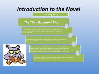 Introduction to the Novel Plot Sequence 