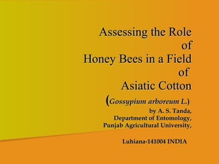 Assessing the Role  of  Honey Bees in a Field  of  Asiatic Cotton   ( Gossypium arboreum L. )  by A. S. Tanda,  Department of Entomology, Punjab Agricultural University,  Luhiana-141004 INDIA   