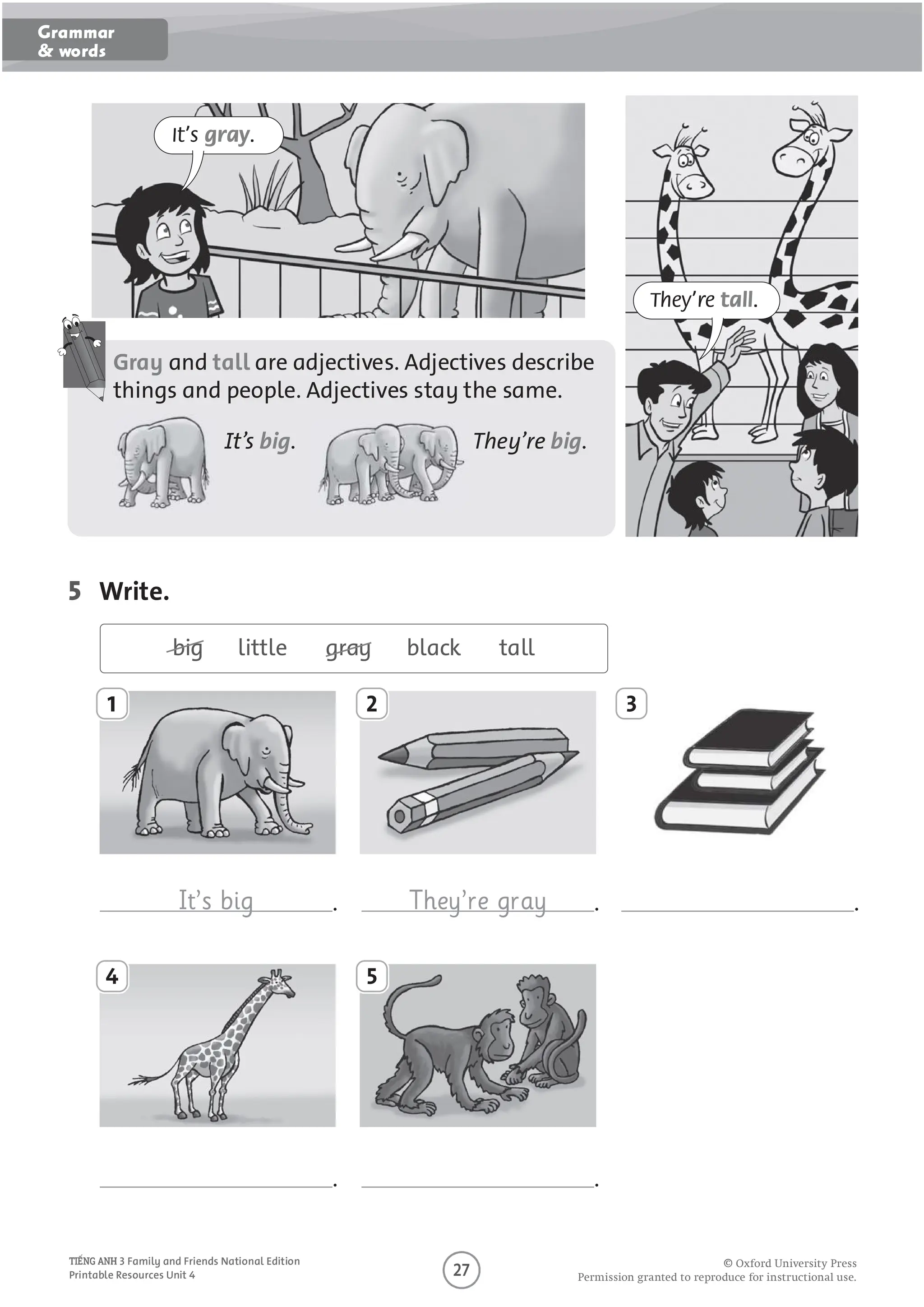 They’re tall.
Gray and tall are adjectives. Adjectives describe
things and people. Adjectives stay the same.
It’s big. They’re big.
It’s gray.
5 Write.
big little gray black tall
It’s big .
.
They’re gray .
.
.
1
4
2
5
3
O
O O P O U O U O U
3 Family and Friends National Edition
Printable Resources Unit 4
Grammar
& words
 