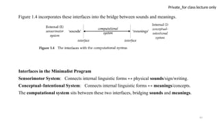 43
Private_for class lecture only
Figure 1.4 incorporates these interfaces into the bridge between sounds and meanings.
Interfaces in the Minimalist Program
Sensorimotor System: Connects internal linguistic forms ↔ physical sounds/sign/writing.
Conceptual–Intentional System: Connects internal linguistic forms ↔ meanings/concepts.
The computational system sits between these two interfaces, bridging sounds and meanings.
 