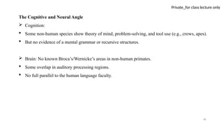 48
Private_for class lecture only
The Cognitive and Neural Angle
 Cognition:
 Some non-human species show theory of mind, problem-solving, and tool use (e.g., crows, apes).
 But no evidence of a mental grammar or recursive structures.
 Brain: No known Broca’s/Wernicke’s areas in non-human primates.
 Some overlap in auditory processing regions.
 No full parallel to the human language faculty.
 