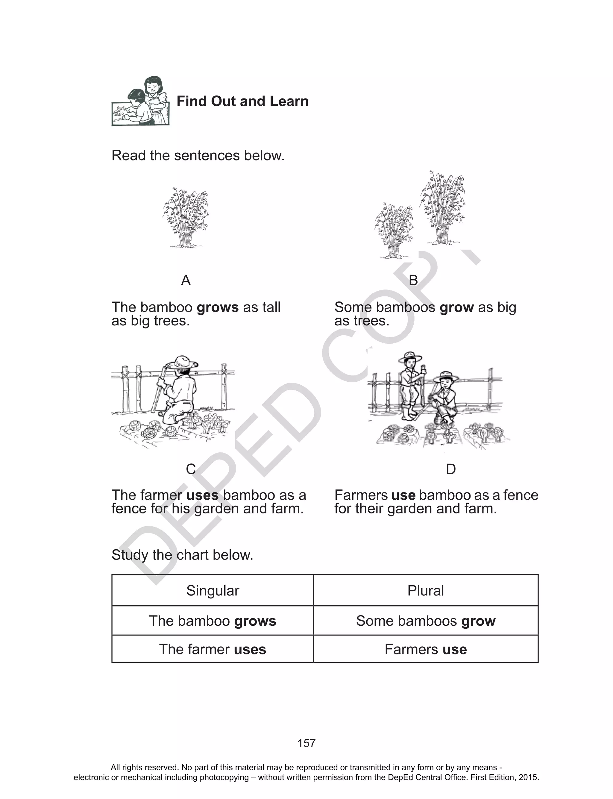 D
EPED
C
O
PY
157
Find Out and Learn
Read the sentences below.
				
A						B
The bamboo grows as tall		 Some bamboos grow as big
as big trees.				 as trees.
		C							D
The farmer uses bamboo as a	 Farmers use bamboo as a fence
fence for his garden and farm. 	 for their garden and farm.
Study the chart below.
Singular Plural
The bamboo grows Some bamboos grow
The farmer uses Farmers use
All rights reserved. No part of this material may be reproduced or transmitted in any form or by any means -
electronic or mechanical including photocopying – without written permission from the DepEd Central Office. First Edition, 2015.
 